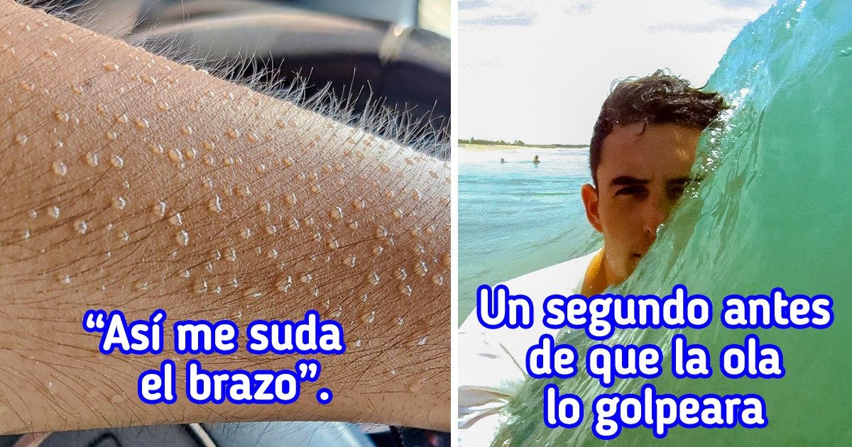 15 Personas que no fueron perezosas para alcanzar su cámara (y nunca se arrepintieron de eso) 15 Personas que no fueron perezosas para alcanzar su cámara (y nunca se arrepintieron de eso)