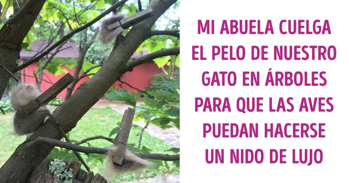 12 Historias de abuelas que hicieron de la infancia de sus nietos una experiencia inolvidable 12 Historias de abuelas que hicieron de la infancia de sus nietos una experiencia inolvidable