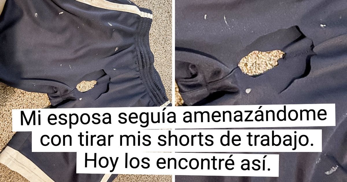 20 Ocasiones en que la vida les lanzó a los usuarios un desafío para mantener la calma 20 Ocasiones en que la vida les lanzó a los usuarios un desafío para mantener la calma