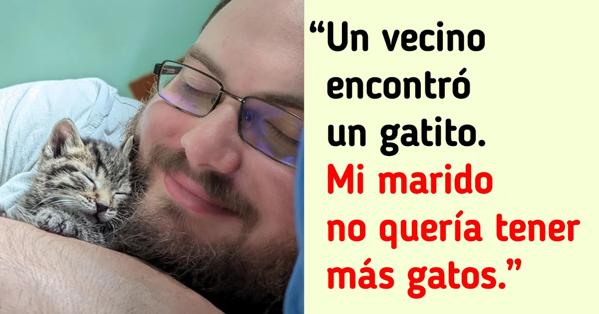 18 Hombres que no querían tener mascotas, hasta que llegó una a su casa