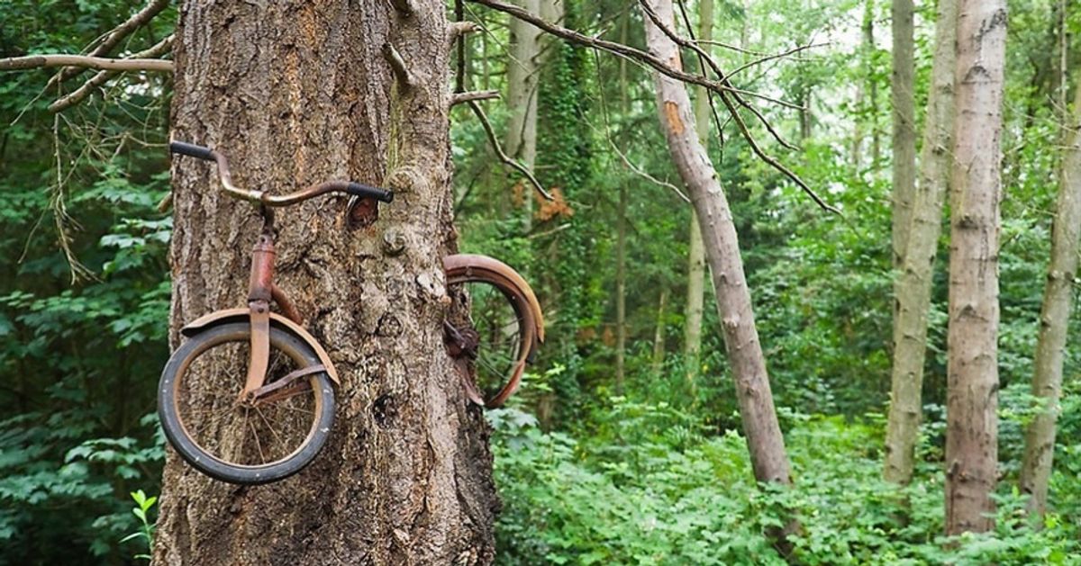 20 Fotos en las que la naturaleza venció a la civilización
