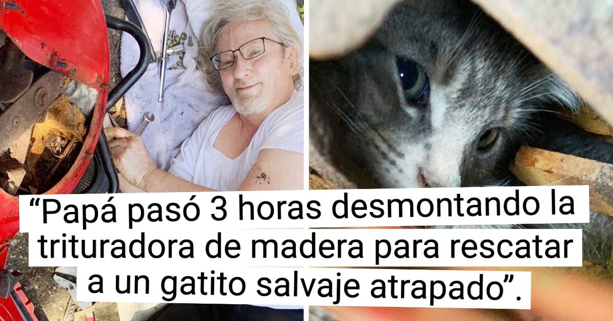 21 Fotos que demuestran que la bondad es el mejor superpoder (nueva selección) 21 Fotos que demuestran que la bondad es el mejor superpoder (nueva selección)