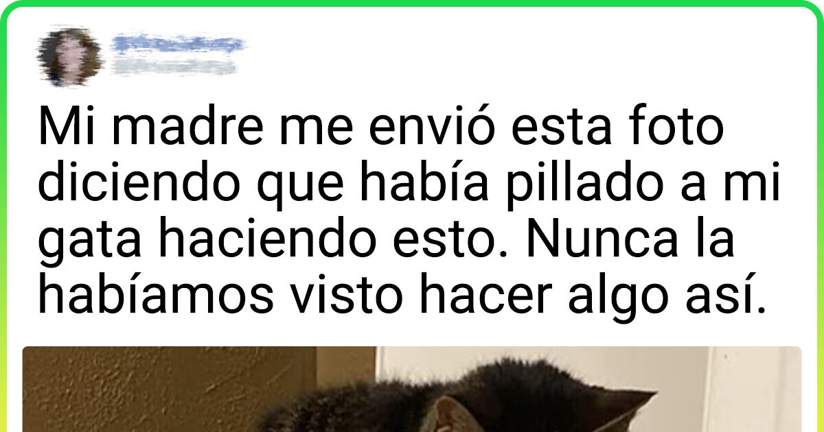 17 Mascotas cuyo temperamento es tan impredecible como el comportamiento del Guasón