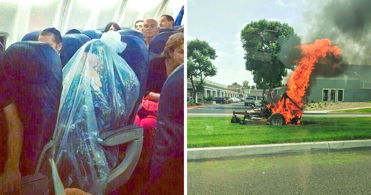 28+ Cosas locas que la mayoría de nosotros no habíamos visto antes