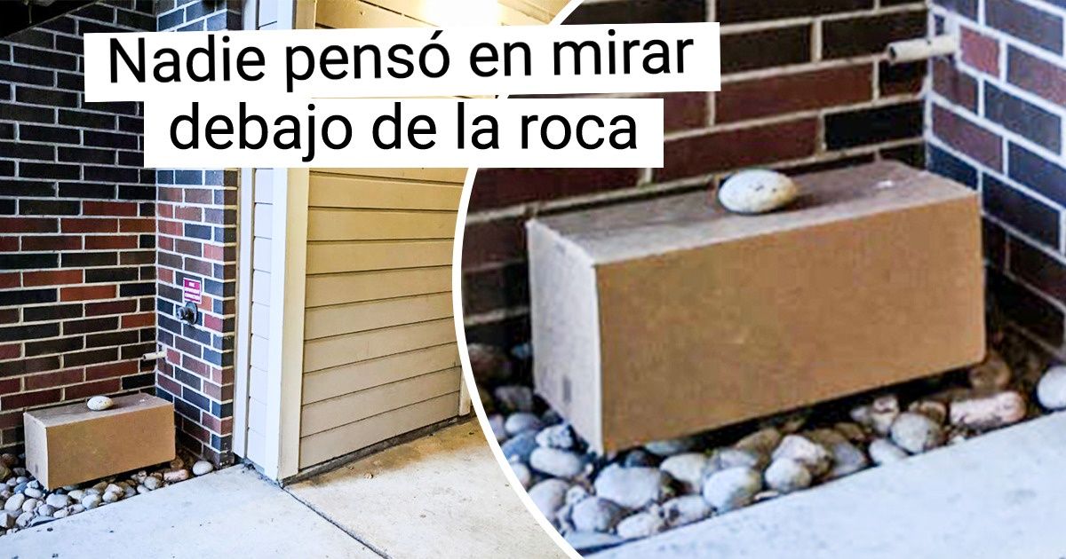 18 Repartidores a los que se les pidió esconder un paquete y que hicieron su mejor esfuerzo 18 Repartidores a los que se les pidió esconder un paquete y que hicieron su mejor esfuerzo