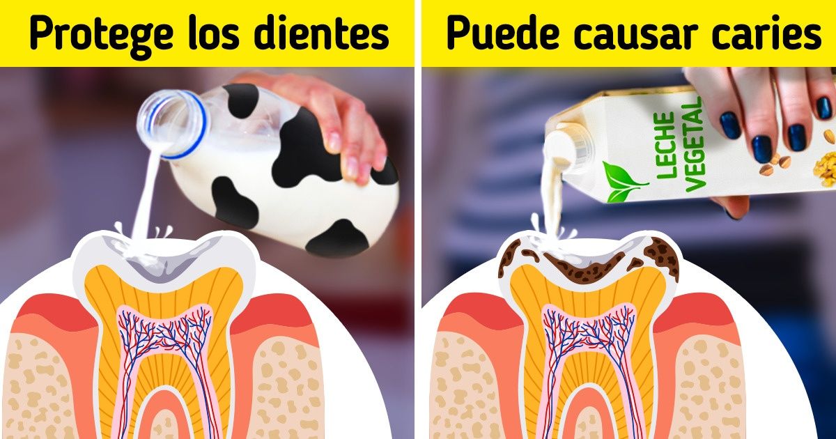 Qué bebidas debes evitar para lucir unos dientes saludables y cuáles ayudan a protegerlos Qué bebidas debes evitar para lucir unos dientes saludables y cuáles ayudan a protegerlos