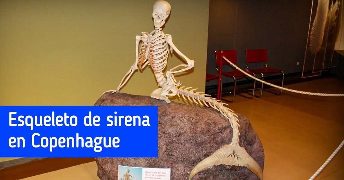 25 Exhibiciones de museos de cosas que prácticamente existen en una sola copia