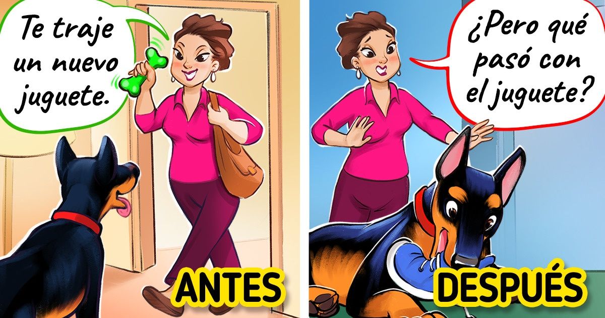10 Comportamientos de nuestras mascotas que nos confunden y sus motivos 10 Comportamientos de nuestras mascotas que nos confunden y sus motivos