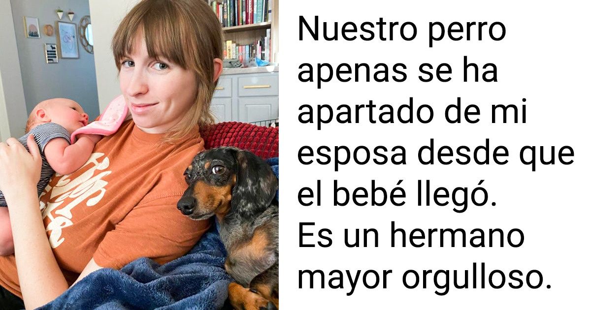 20+ Imágenes maravillosas que alegraron nuestro día rotundamente 20+ Imágenes maravillosas que alegraron nuestro día rotundamente
