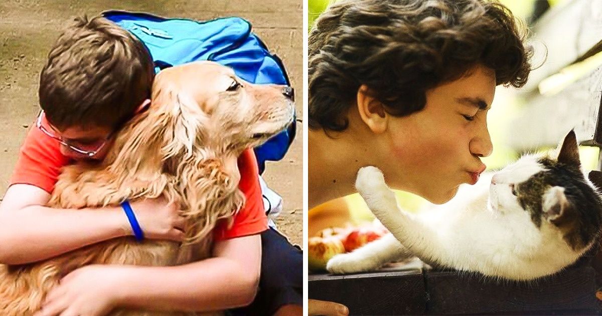 En Colombia se propuso una ley que haría que los colegios eduquen a los niños sobre la protección animal