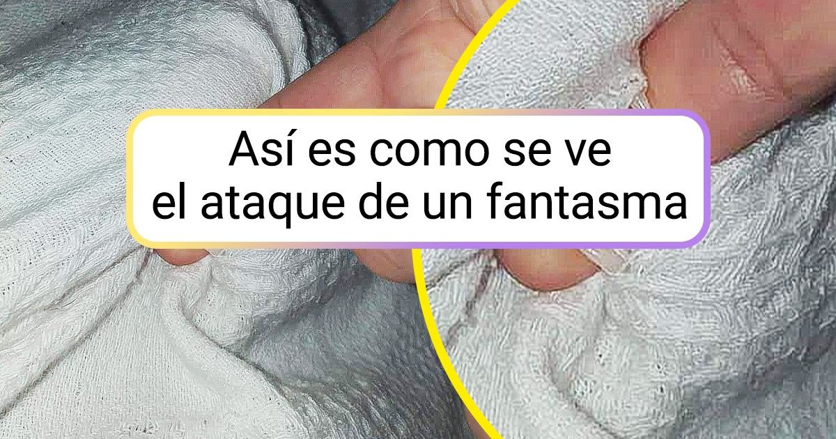 16 Fotos que captaron las cosas más comunes, pero nunca las habíamos visto así 16 Fotos que captaron las cosas más comunes, pero nunca las habíamos visto así