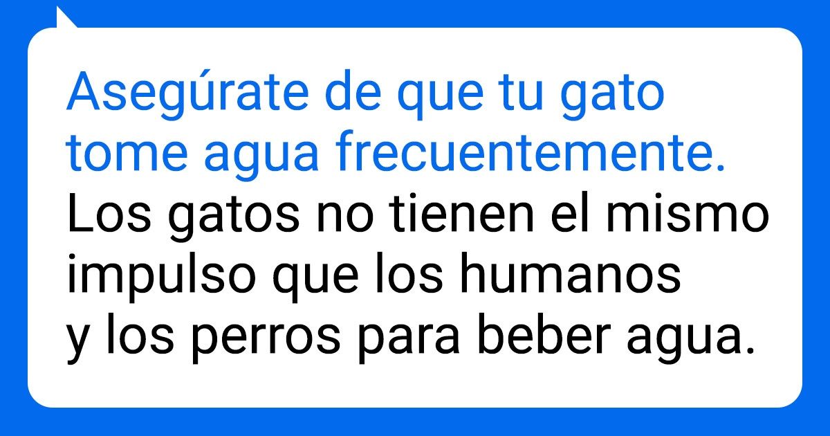 20 Tips compartidos por veterinarios para el beneficio de las mascotas y sus dueños 20 Tips compartidos por veterinarios para el beneficio de las mascotas y sus dueños