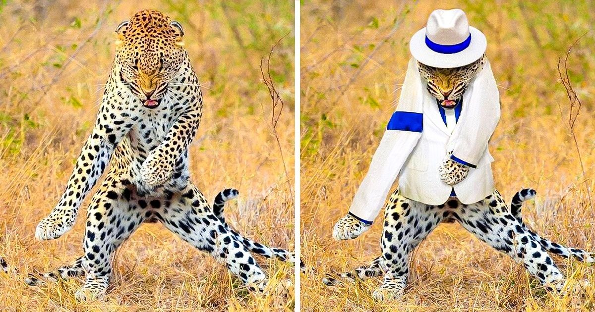 Usuarios de Internet hacen batallas de Photoshop y los resultados son tan buenos que te harán morir de risa