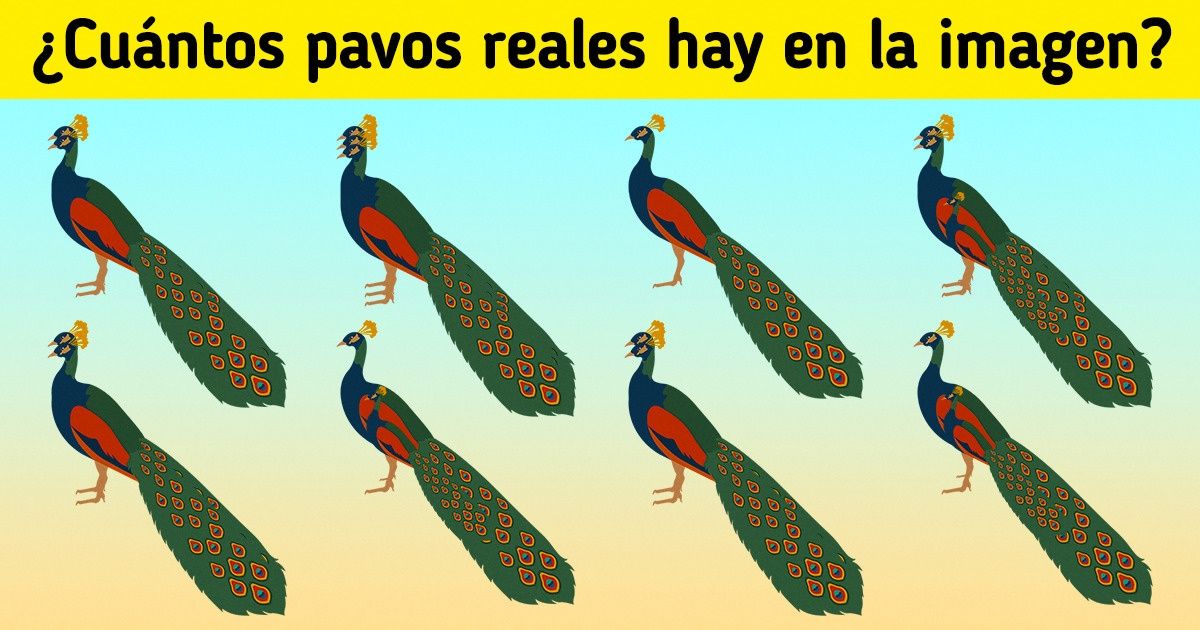 20 Animales del bosque ocultos entre ellos mismos que pondrán a prueba a tu observador interior