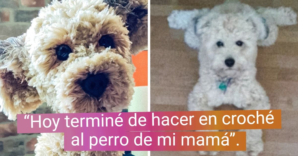 22 Personas que aman tanto a sus mascotas que hallaron formas inusuales de perpetuar su recuerdo