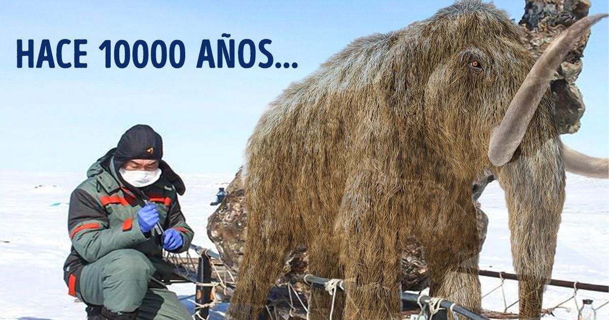 9 Objetos que estuvieron perdidos en el hielo y que sorprendieron a los científicos
