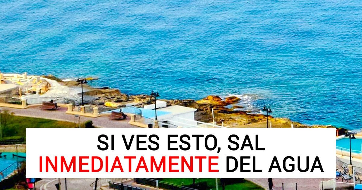 12 Hechos que pueden salvar tu vida algún día 12 Hechos que pueden salvar tu vida algún día