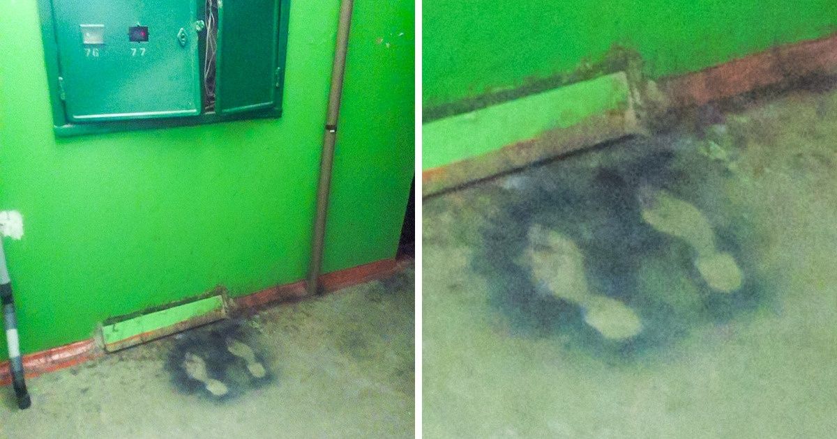 15 Fotos que son difíciles de explicar de forma coherente. ¿Tal vez tú sí puedas? 15 Fotos que son difíciles de explicar de forma coherente. ¿Tal vez tú sí puedas?