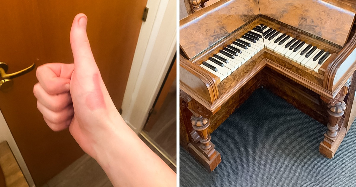 20 Fotografías que demuestran que lo menos esperado puede estar a la vuelta de la esquina