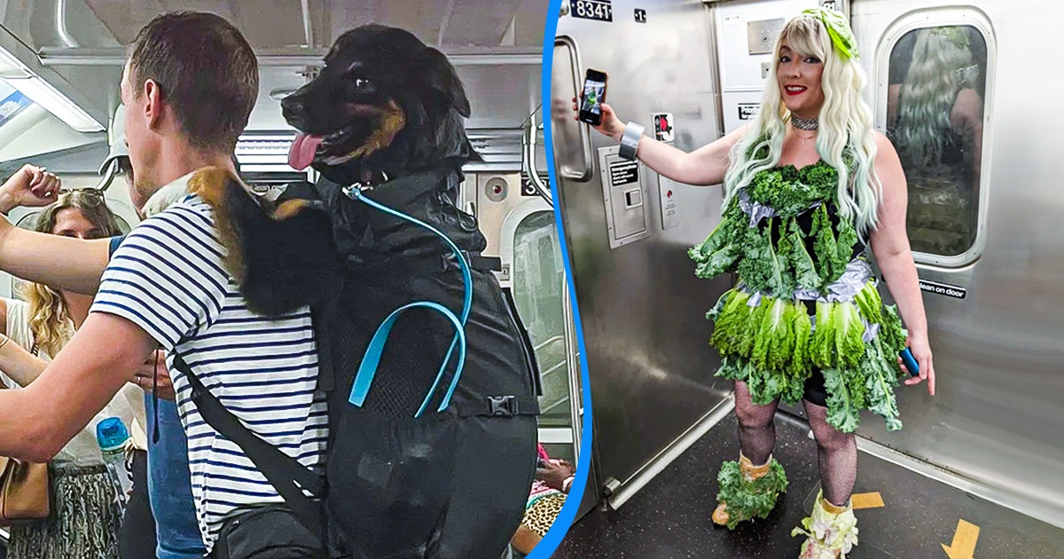 16 Momentos que nos muestran que el transporte público es un mundo aparte
