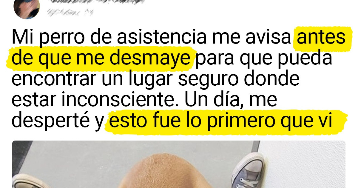 20 Momentos repletos de ternura frente a los cuales es imposible contener una lagrimita