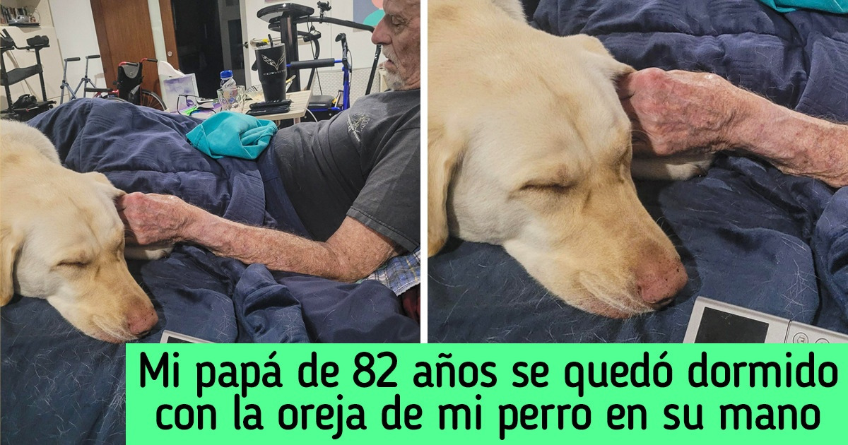 19 Pruebas de que la felicidad llega más fácil a nuestras vidas en forma de mascotas verdaderamente tiernas