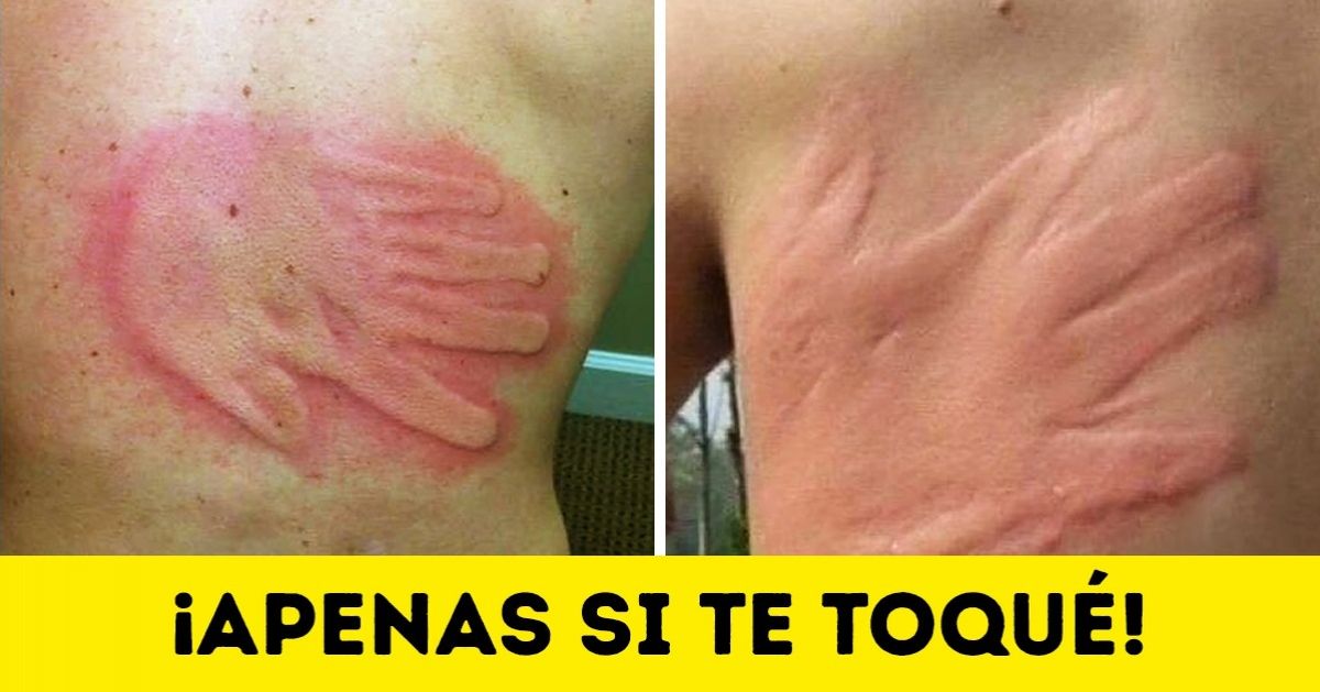 20 Familias muy duras para las cuales el concepto de paz es algo completamente extraño