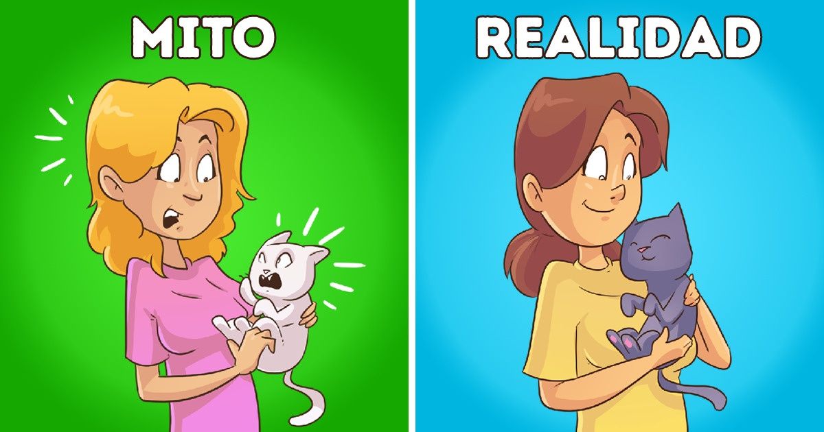 11 Respuestas de una profesional a preguntas comunes sobre algunos comportamientos animales