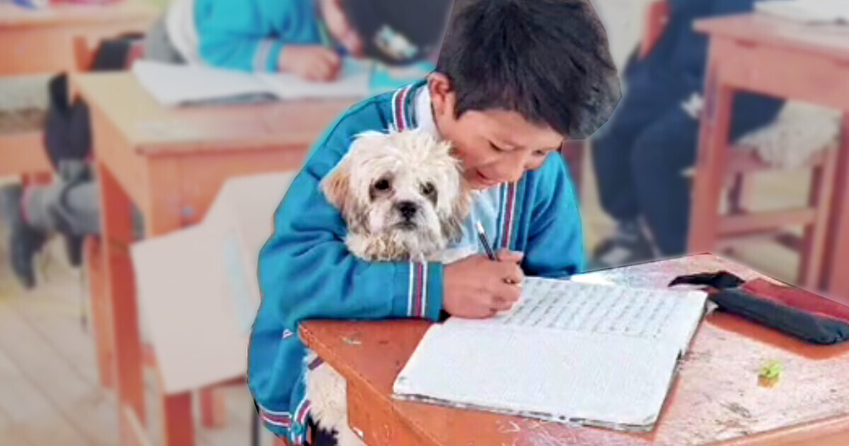 Maestra deja que alumno con problemas lleve a su perrita a las clases Maestra deja que alumno con problemas lleve a su perrita a las clases