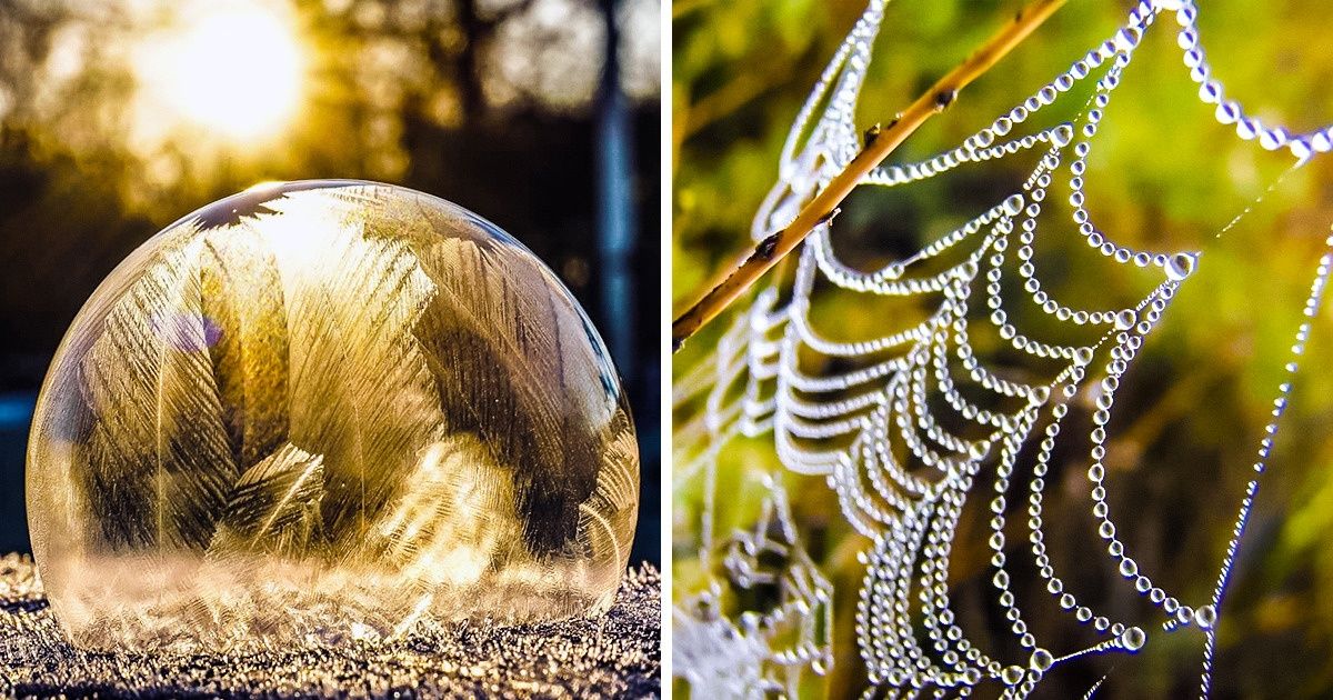 22 Imágenes majestuosas que vas a querer poner en tu fondo de pantalla de inmediato