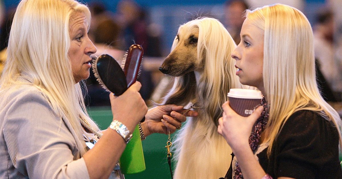 18 Extrañas y divertidas coincidencias que demuestran que el mundo es un lugar extraño 18 Extrañas y divertidas coincidencias que demuestran que el mundo es un lugar extraño