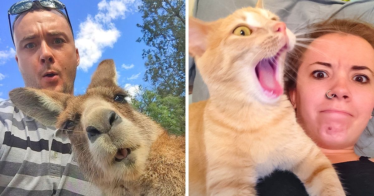 29 Pruebas irrefutables de que los animales se roban por completo el protagonismo en cualquier selfi 29 Pruebas irrefutables de que los animales se roban por completo el protagonismo en cualquier selfi