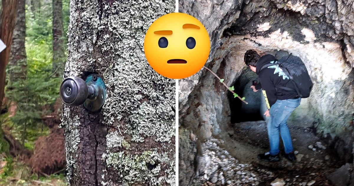 20 Objetos que la gente encontró en medio del bosque y nadie sabe cómo llegaron ahí 20 Objetos que la gente encontró en medio del bosque y nadie sabe cómo llegaron ahí