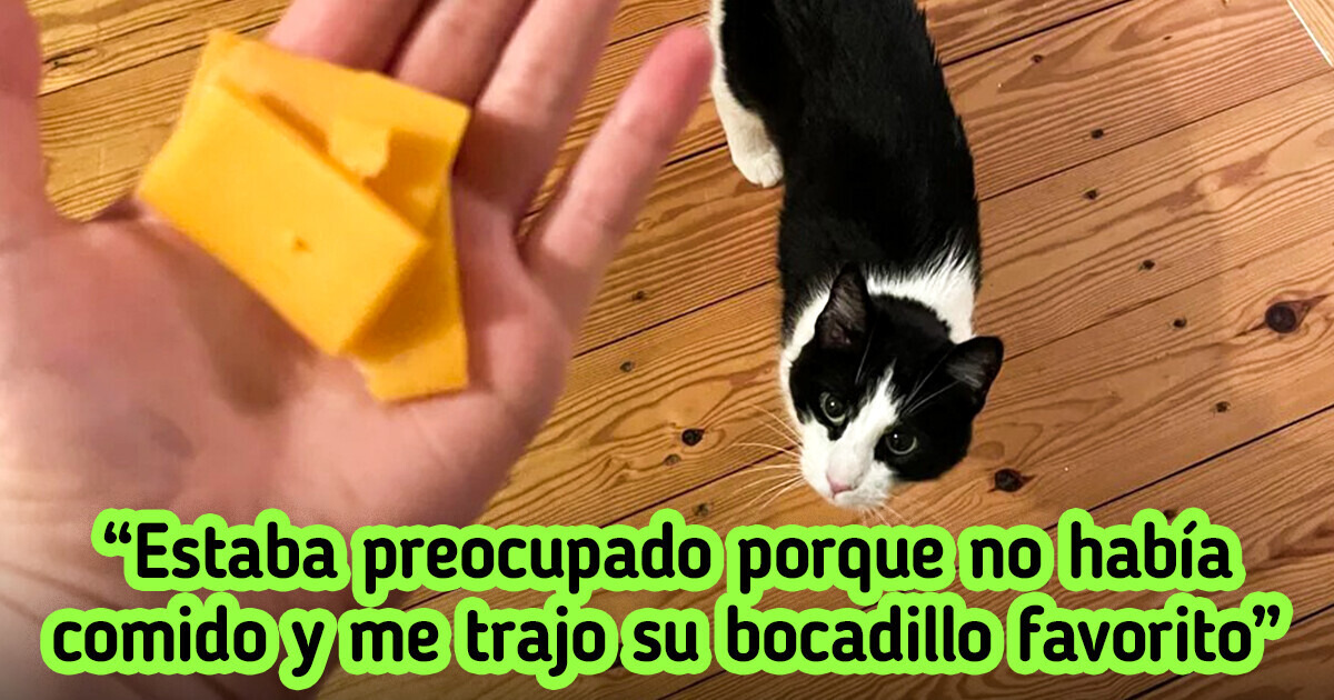 18 Peluditos que ablandarían el corazón hasta del villano más malvado