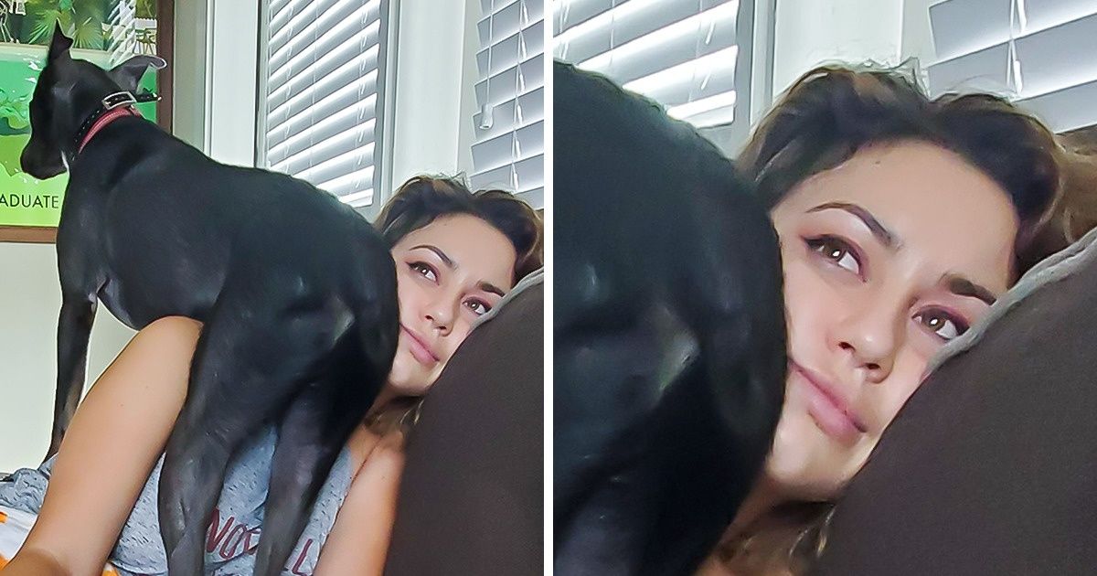 24 Mascotas que olvidaron lo que significa el espacio personal 24 Mascotas que olvidaron lo que significa el espacio personal