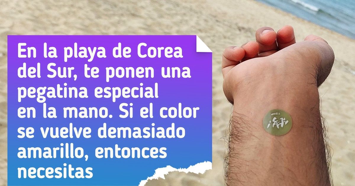 20+ Pruebas de que Corea del Sur es otro mundo que desde hace mucho vive con sus propias reglas 20+ Pruebas de que Corea del Sur es otro mundo que desde hace mucho vive con sus propias reglas
