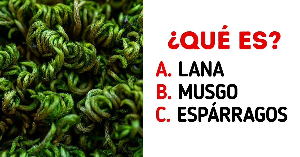 Test: ¿Reconoces estos objetos cotidianos observados con lupa? (nueva edición) Test: ¿Reconoces estos objetos cotidianos observados con lupa? (nueva edición)