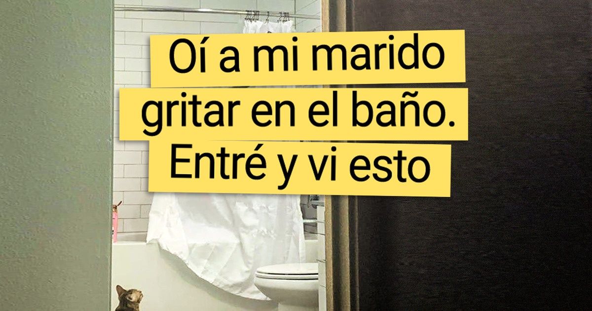 20+ Expresiones de animales culpables que hacen imposible poder regañarlos