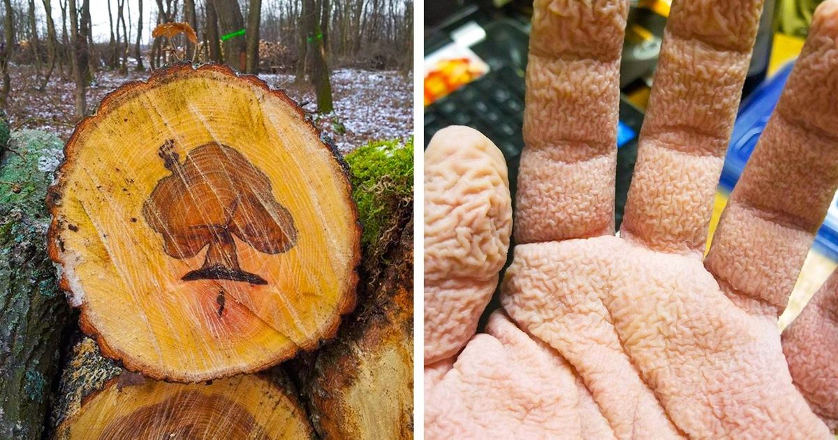 15+ Vistas maravillosas donde el arte y la vida real chocan entre sí