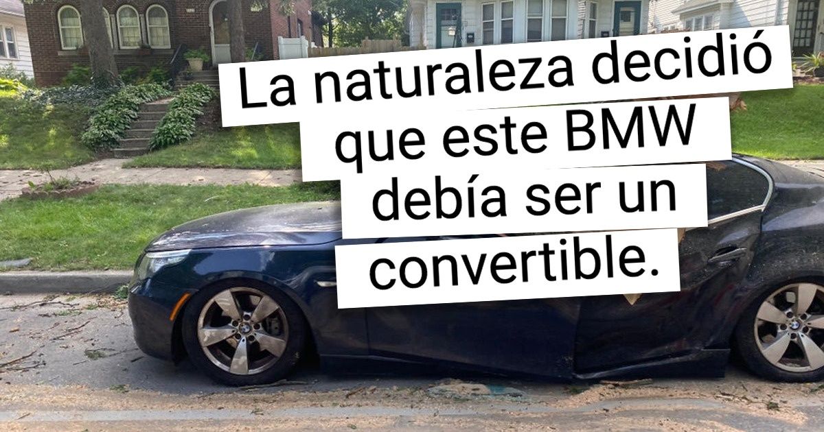 14 Fotos que tienen más drama que cualquier telenovela 14 Fotos que tienen más drama que cualquier telenovela