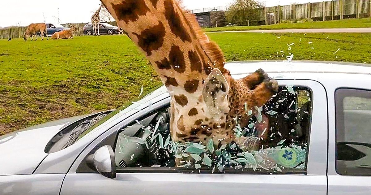 18 Fotos que te darán ganas de saber qué sucedió allí tan solo con verlas