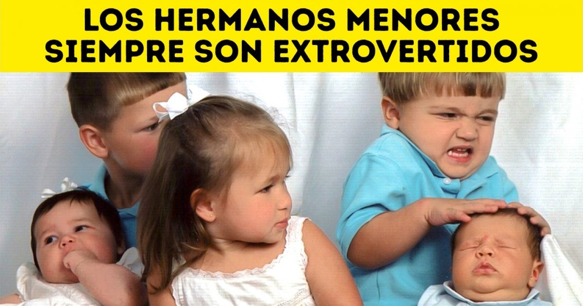 10 Hechos científicos sobre nuestros hermanos y hermanas que de seguro ni te imaginabas