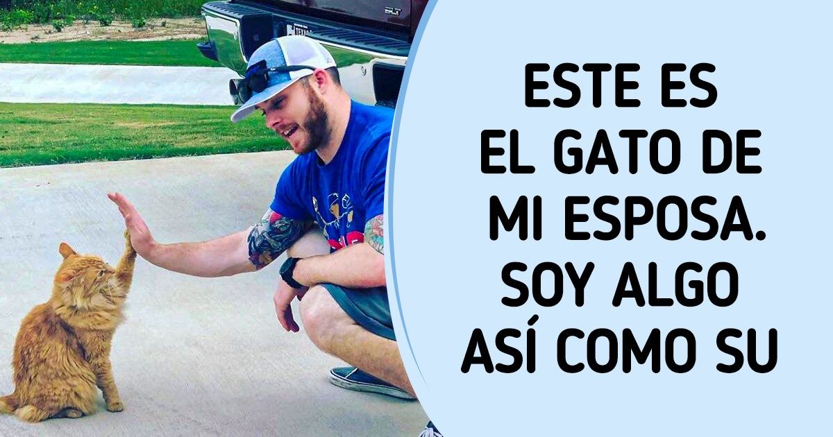 20 Animales que encontraron a sus almas gemelas en los humanos