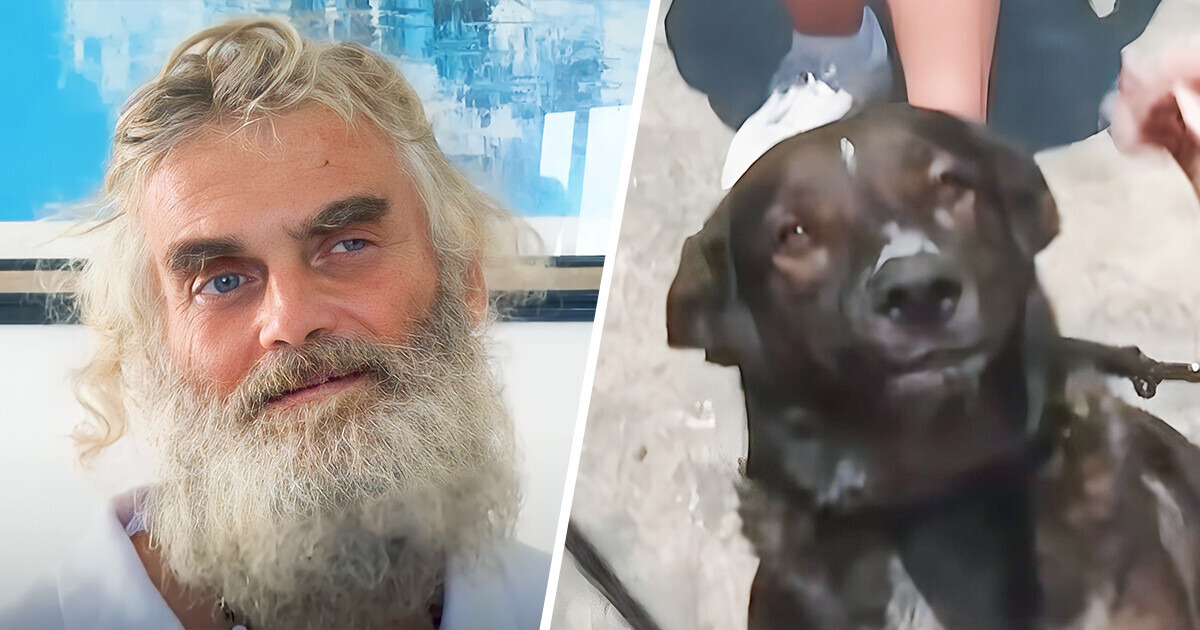 Por qué el náufrago que sobrevivió tres meses junto a su perrita ahora la quiere abandonar
