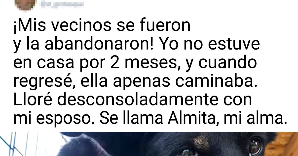 20 Conmovedoras fotos de animales que se ganaron un boleto para una mejor vida