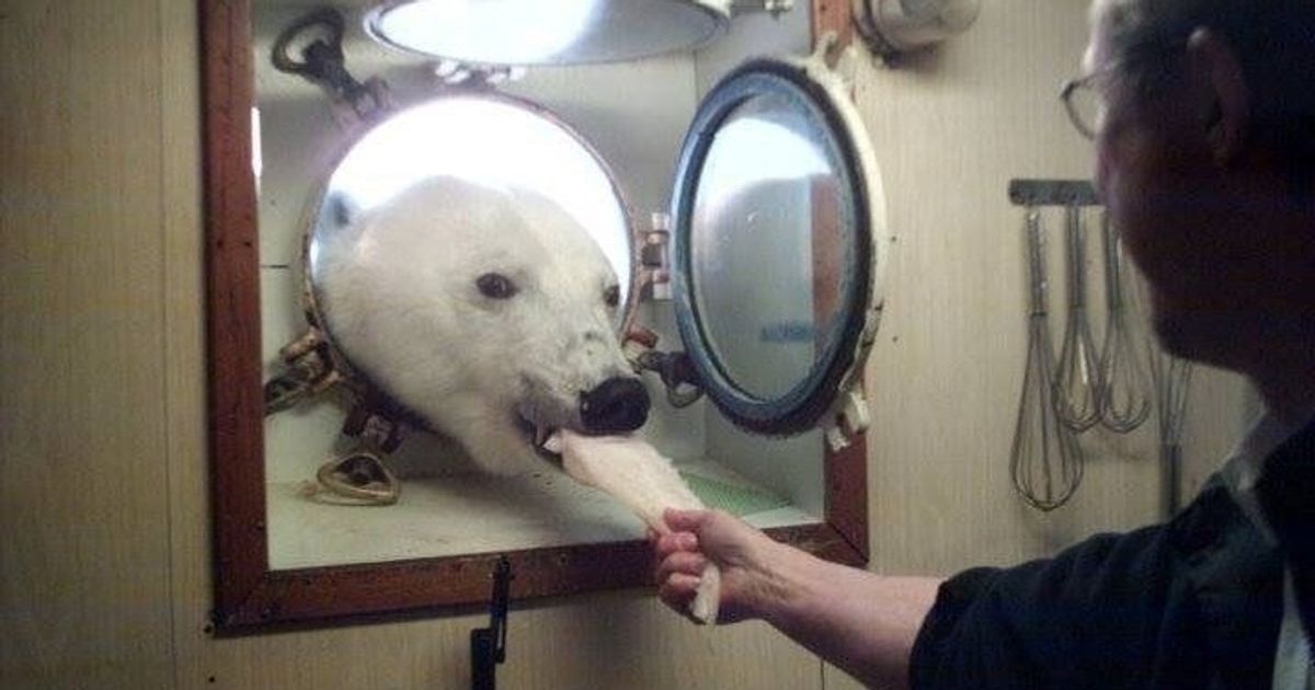 15 Usuarios en la red nos mostraron cómo es que existe en realidad el efecto del elemento sorpresa