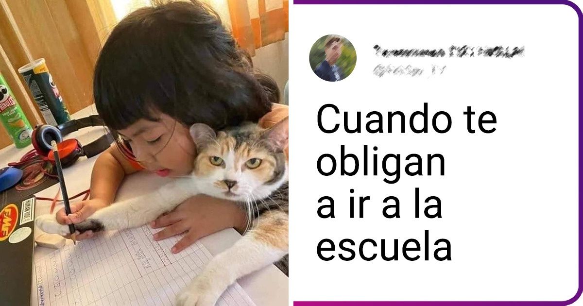20 Veces en que la mirada de las mascotas reveló sus sentimientos más profundos