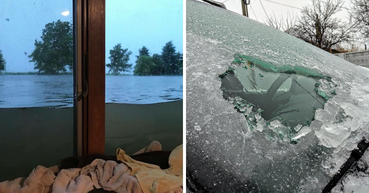 15 Veces cuando la naturaleza tuvo un plan muy diferente al nuestro