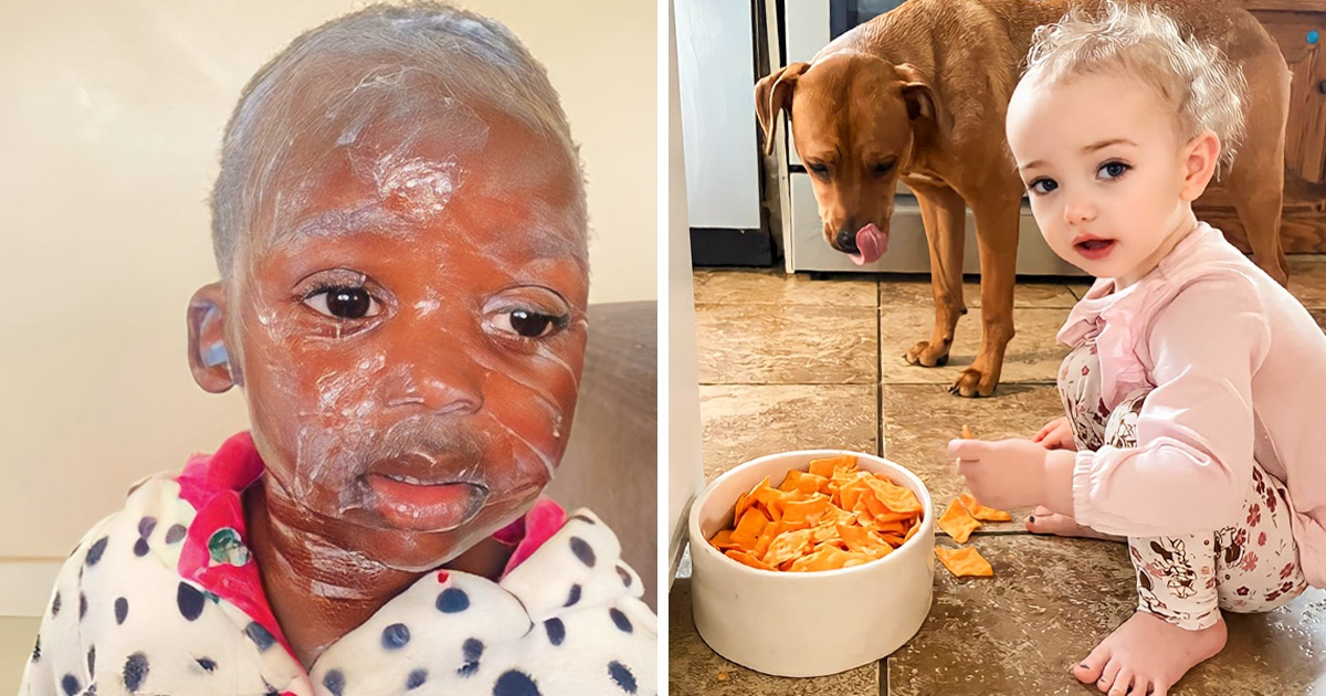 20 Niños que pusieron a prueba la cordura de sus padres causando desastres