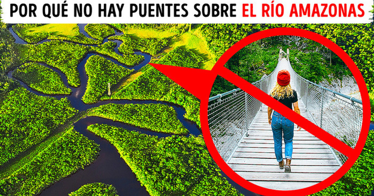 Qué impide construir puentes sobre el río Amazonas Qué impide construir puentes sobre el río Amazonas